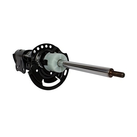 Motorcraft Shock Absorber Asy, Ast24737 AST24737